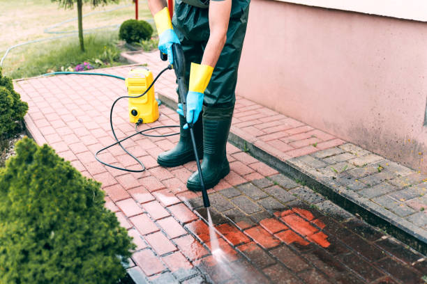 Best Soft Washing for Delicate Surfaces in Grandview, MO